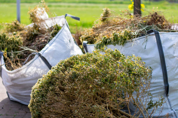 Best Garage Cleanout Services  in Dolan Springs, AZ