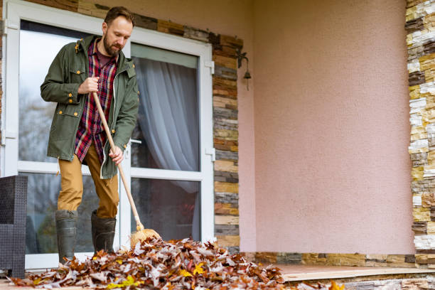 Basement Cleanout Services in Dolan Springs, AZ