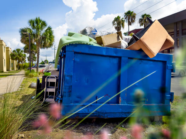 Best Commercial Cleanout Services  in Dolan Springs, AZ